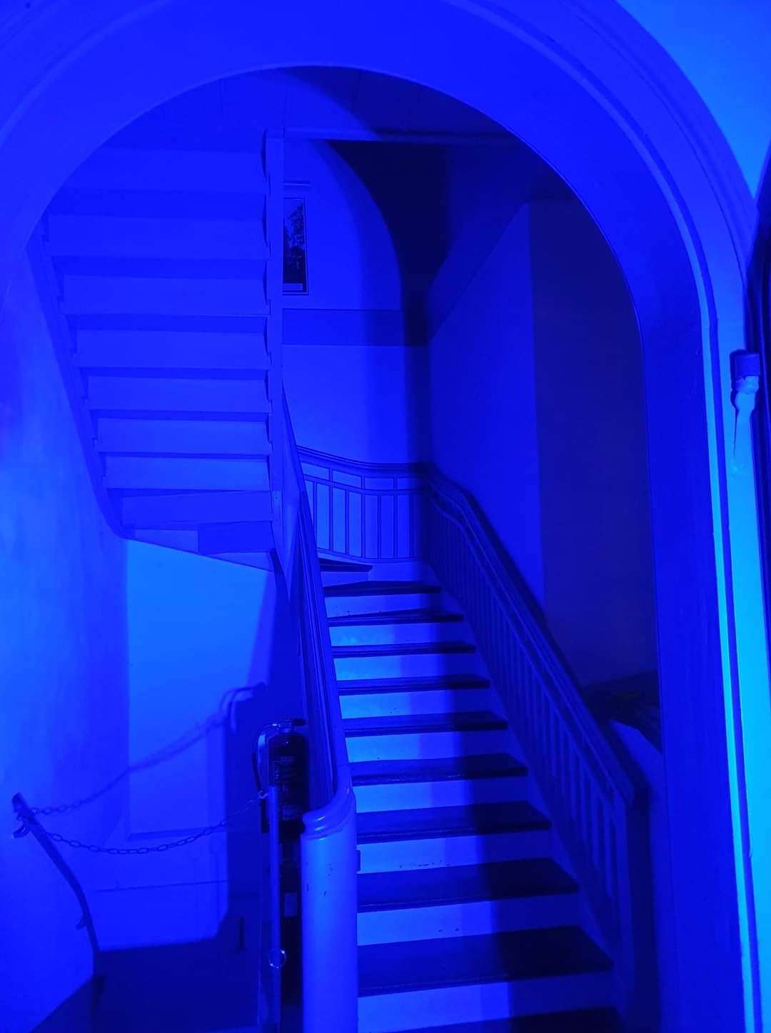 FB IMG 1621166786712