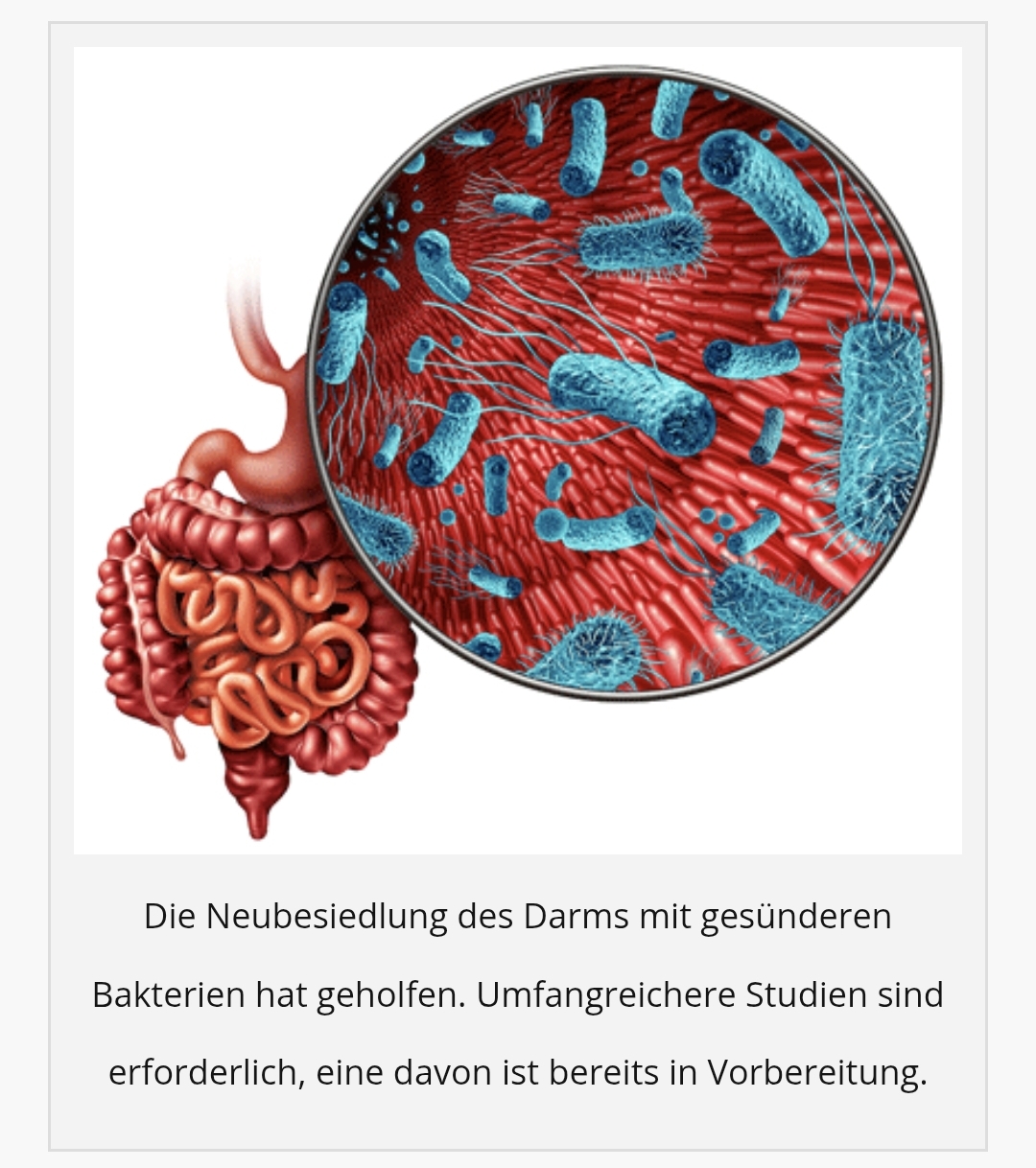 Healthrising Darm Fibromyalgie