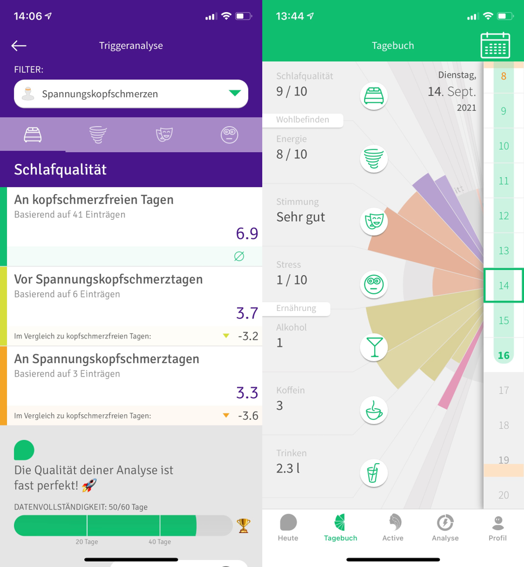 Ansicht Migräne App als Beispiel
