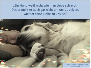 ME / CFS ...und warum unsere Tiere so wichtig f&uuml;r uns sind...