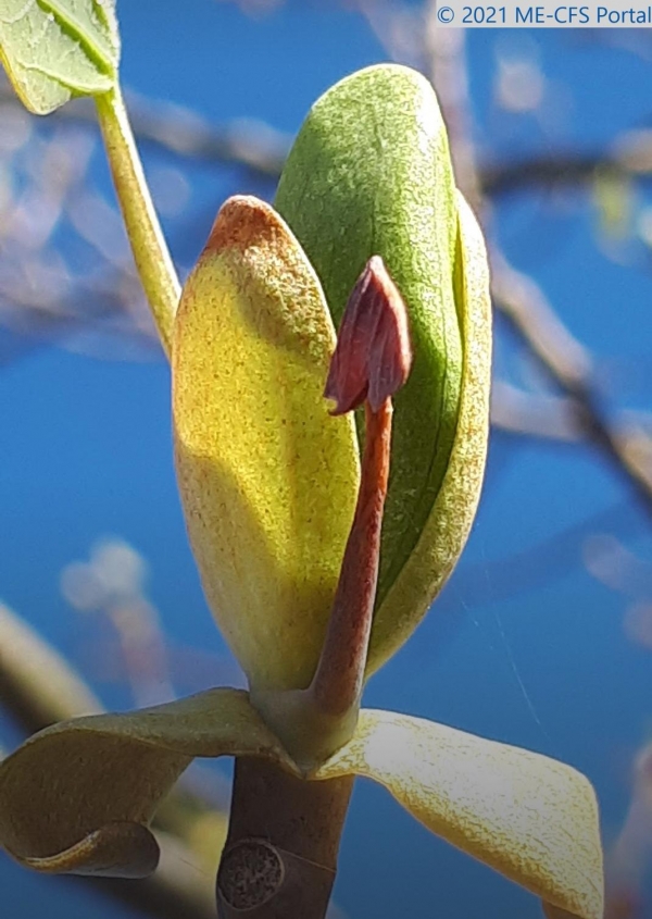 Let's talk about Sex: Im Gespr&auml;ch mit Betroffenen (2)