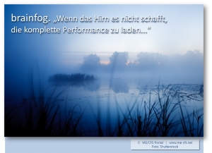 brainfog: Der Nebel in den K&ouml;pfen von ME / CFS Patienten