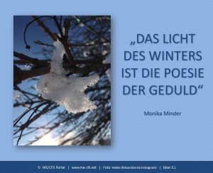 Auf unserem Adventskranz brennen heute schon alle 4 Kerzen