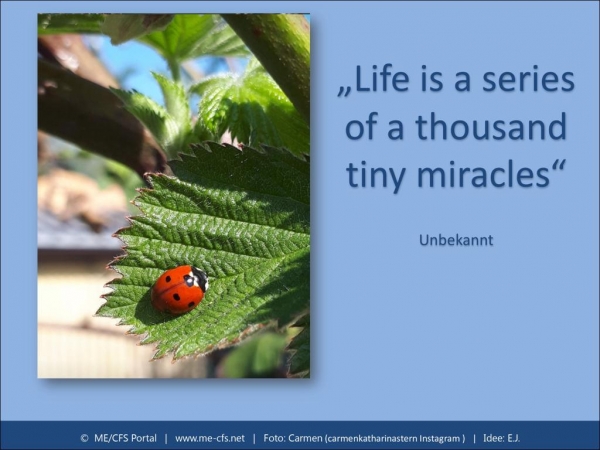 Wenn sich auch Dinge, die der Seele gut tun, negativ auswirken