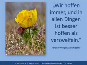 Eine Wundert&uuml;te mit bitterem Beigeschmack