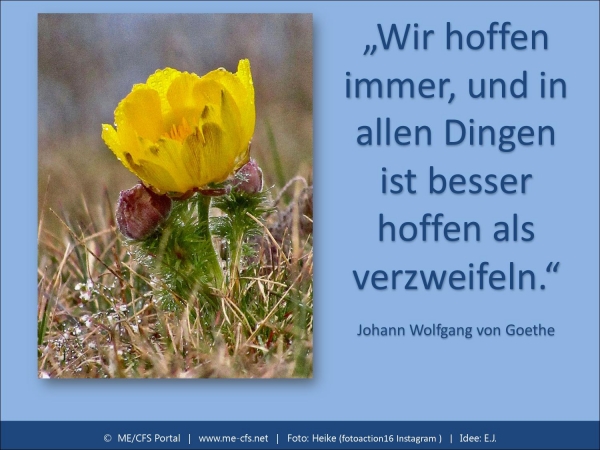 Eine Wundert&uuml;te mit bitterem Beigeschmack