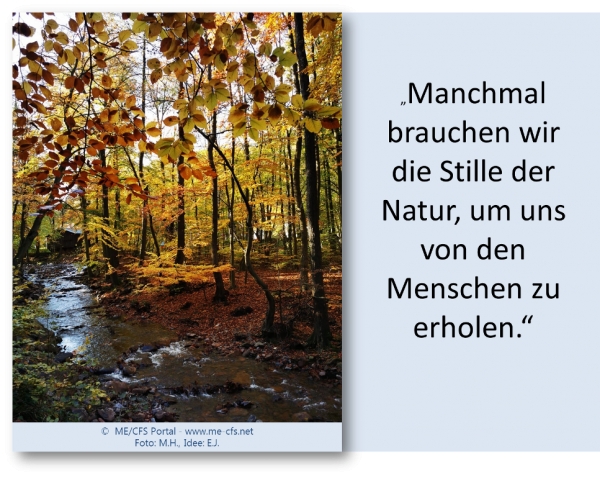 ME / CFS - Du hast es gut, kannst den ganzen Tag im Bett liegen...