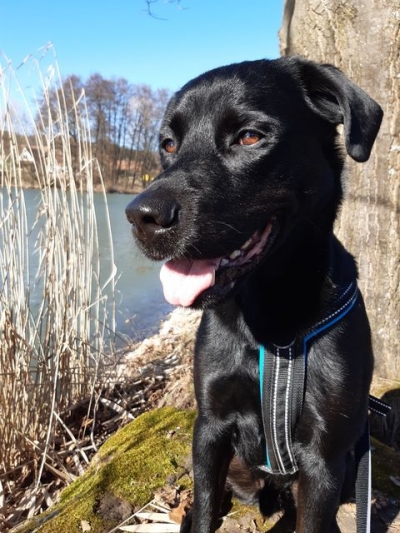 Simone mit Balou