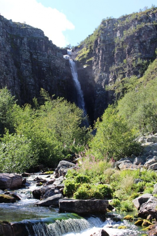Die W&uuml;rde des Menschen