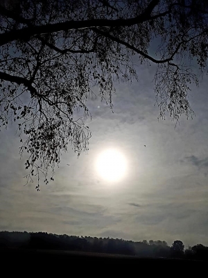 Leben mit schwerer und sehr schwerer ME/CFS