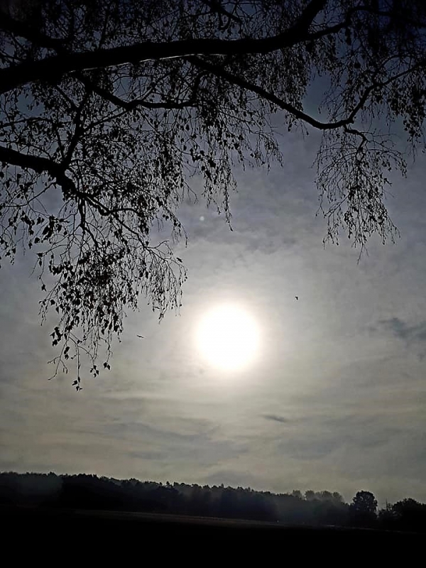 Leben mit schwerer und sehr schwerer ME/CFS