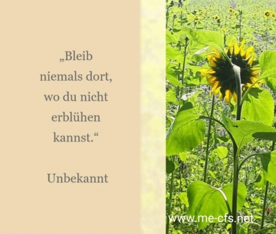 Man soll gehen, wenn es am sch&ouml;nsten ist oder um nur aus Stolz kein Ende zu sehen, es ist Zeit zu gehen. &nbsp;